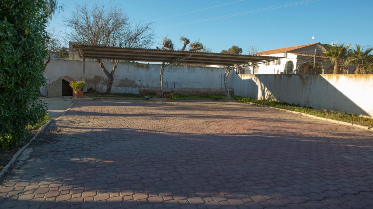 Estudio Adosado Con Jardin Y Parking Privado Alicante Esterno foto