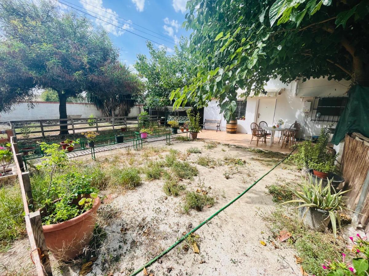Estudio Adosado Con Jardin Y Parking Privado Alicante Esterno foto